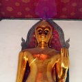 IMG_8388
