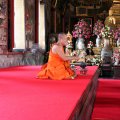 IMG_8404