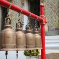 IMG_8410