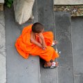 IMG_8422