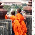 IMG_8424
