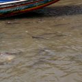 IMG_8460