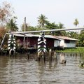 IMG_8479