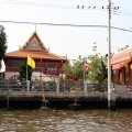 IMG_8486
