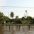 IMG_8488