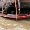 IMG_8491