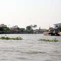 IMG_8493