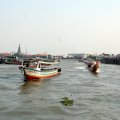 IMG_8524