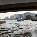 IMG_8526