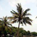 IMG_8559