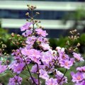 IMG_8561