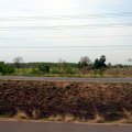 IMG_5750
