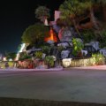 IMG_5767