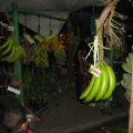 IMG_5788