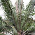 IMG_8094