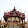 IMG_8101