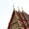 IMG_8123