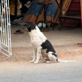 IMG_8125