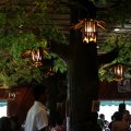IMG_8161