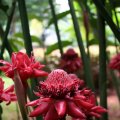 IMG_8167