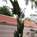 IMG_8180