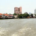 IMG_8344