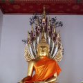 IMG_8379