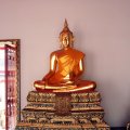 IMG_8382