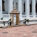 IMG_8383