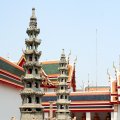 IMG_8389