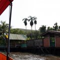 IMG_8449