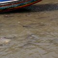 IMG_8460