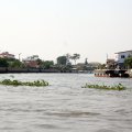 IMG_8493