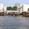 IMG_8537