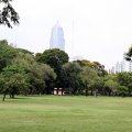 IMG_8549