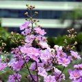 IMG_8561