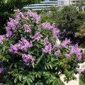 IMG_8562