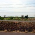 IMG_5750