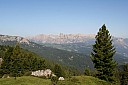 IMG_4638.JPG