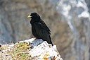 IMG_4683.JPG