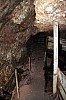 IMG_4710.JPG