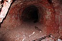 IMG_4712.JPG
