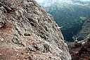 IMG_4719.JPG