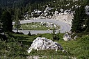 IMG_4774.JPG
