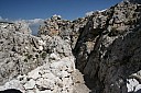 IMG_4778.JPG
