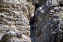 IMG_4796.JPG