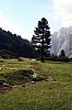 IMG_4823.JPG