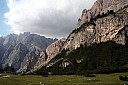 IMG_4825.JPG