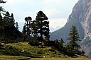 IMG_4833.JPG