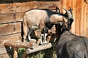 IMG_4838.JPG